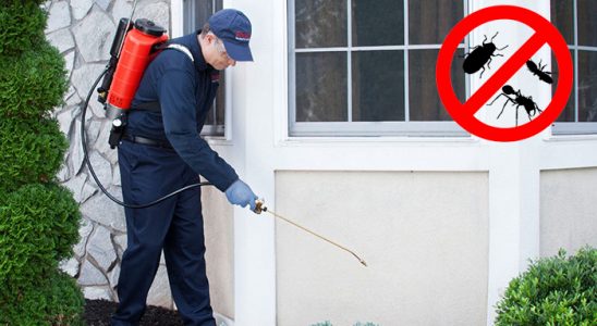 Digor Böcek ve Haşere İlaçlama böcek ilaçlama ve haşere kontrolü — ilaclama-tr.com